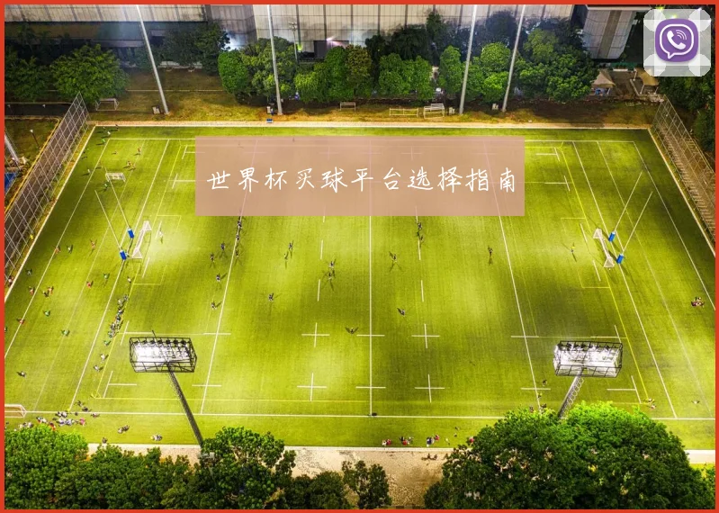 世界杯买球平台选择指南