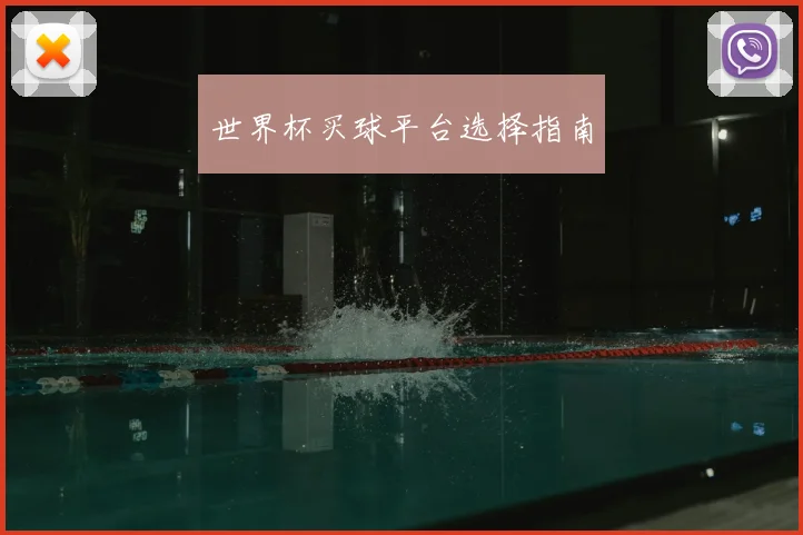 世界杯买球平台选择指南