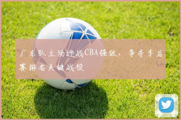 广东队主场迎战CBA强敌,争夺季后赛排名关键战役