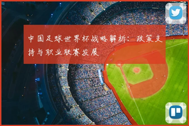 中国足球世界杯战略解析：政策支持与职业联赛发展