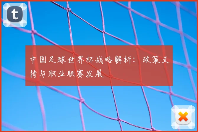 中国足球世界杯战略解析：政策支持与职业联赛发展