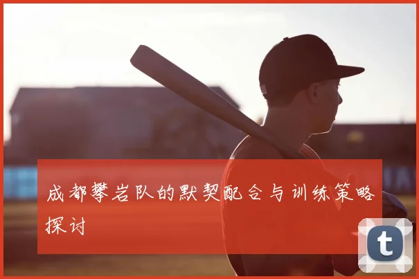 成都攀岩队的默契配合与训练策略探讨