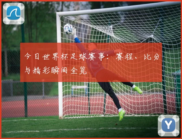 今日世界杯足球赛事：赛程、比分与精彩瞬间全览