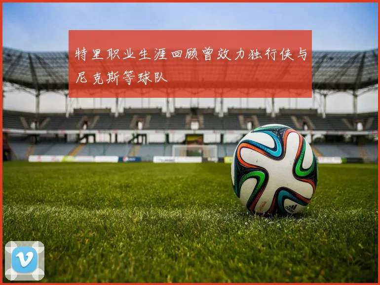 特里职业生涯回顾曾效力独行侠与尼克斯等球队