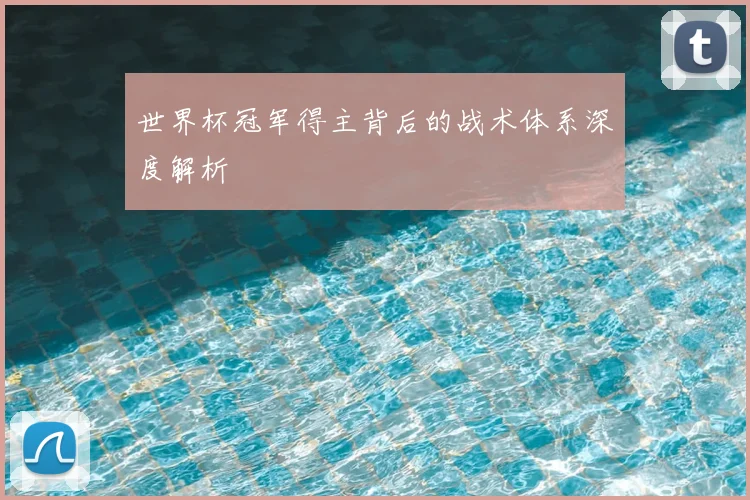 世界杯冠军得主背后的战术体系深度解析