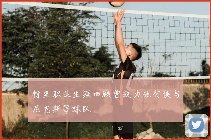 特里职业生涯回顾曾效力独行侠与尼克斯等球队