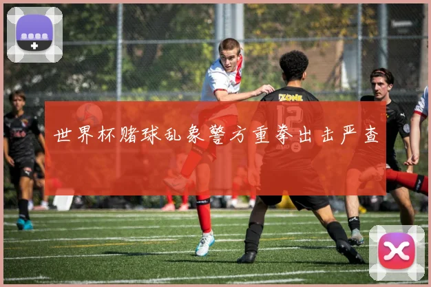 世界杯赌球乱象警方重拳出击严查