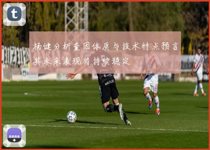 杨健分析奎因体质与技术特点预言其未来表现将持续稳定