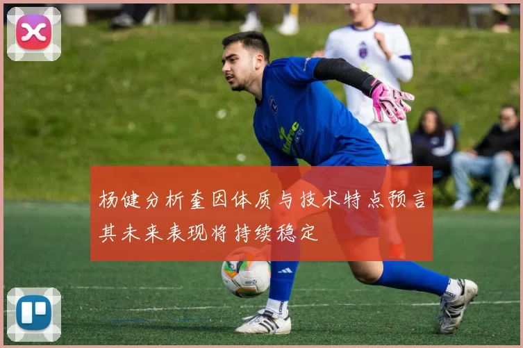 杨健分析奎因体质与技术特点预言其未来表现将持续稳定