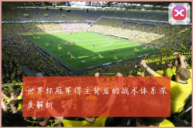 世界杯冠军得主背后的战术体系深度解析