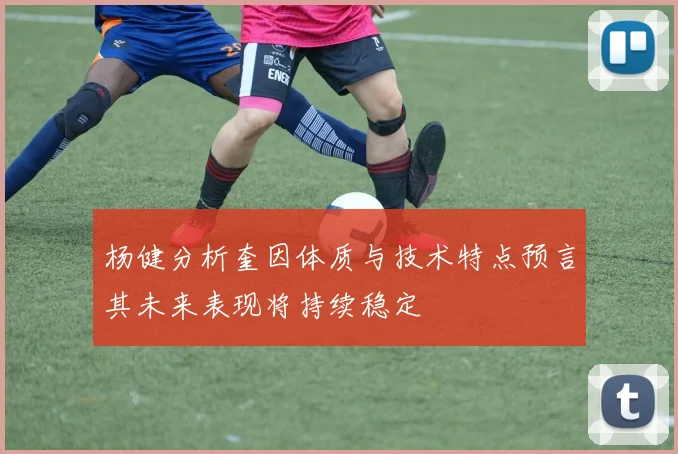 杨健分析奎因体质与技术特点预言其未来表现将持续稳定