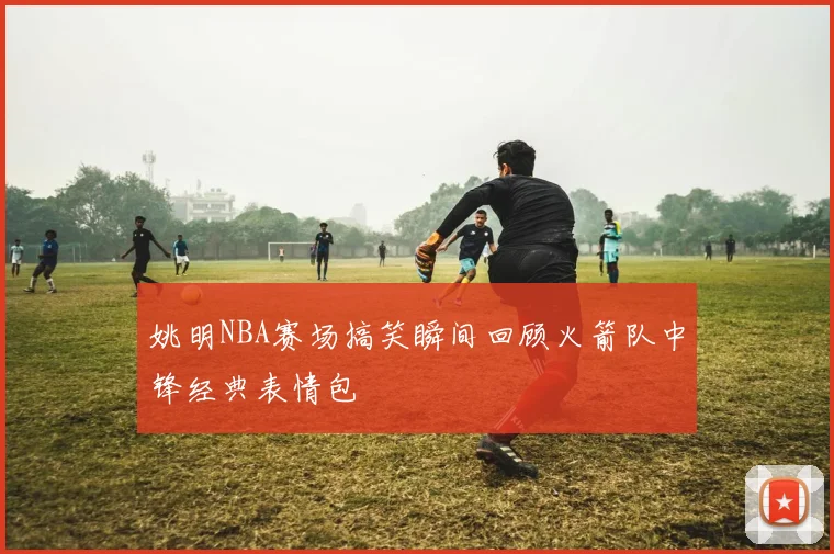 姚明NBA赛场搞笑瞬间回顾火箭队中锋经典表情包