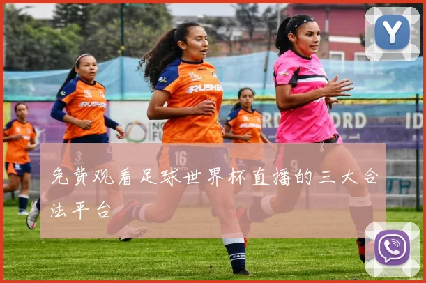 免费观看足球世界杯直播的三大合法平台