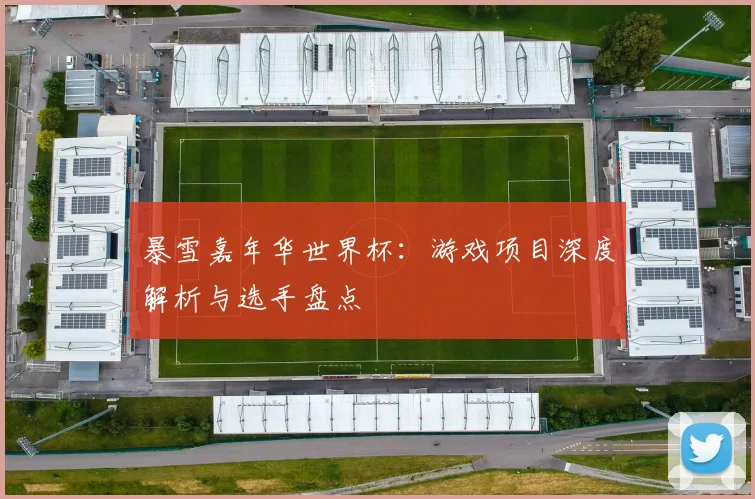 暴雪嘉年华世界杯：游戏项目深度解析与选手盘点