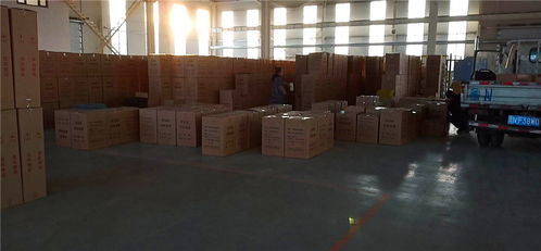 塑料格栅与土工模袋 厂家直销的高效工程材料选择